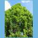 04-Pankrac.html