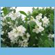 06-Budejovicka.html