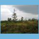 16-Cerna_hora.html
